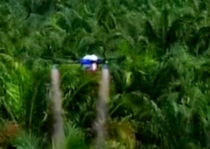 Китайские сельскохозяйственные дроны отправляются в Юго-Восточную Азию для опрыскивания!
