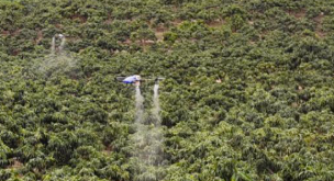Поставщики сельскохозяйственных материалов в районе фруктовых деревьев трансформируются в услуги сельскохозяйственных дронов
