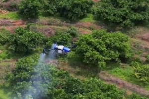 Опрыскивание фруктовых деревьев дронами: станет ли это новым прорывом для сельскохозяйственных дронов EAVISION?
