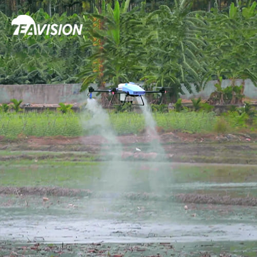 опрыскивание дронами рисовых полей летом, управление и защита для повышения эффективности
