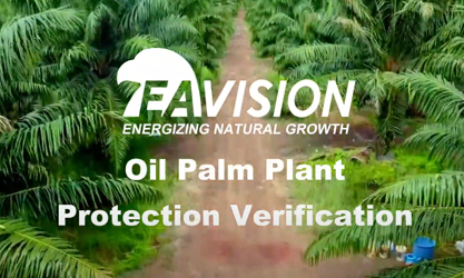 Дрон-опрыскиватель Масличное пальмовое масло Проверка защиты растений