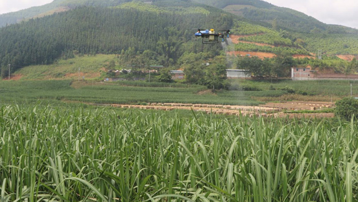 Интеллектуальные сельскохозяйственные дроны EAvision оказывают значительное влияние на предотвращение разлета сахарного тростника!